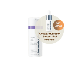 Hovedbilde Dermalogica Stabilizing Repair Cream 100ml JUMBO