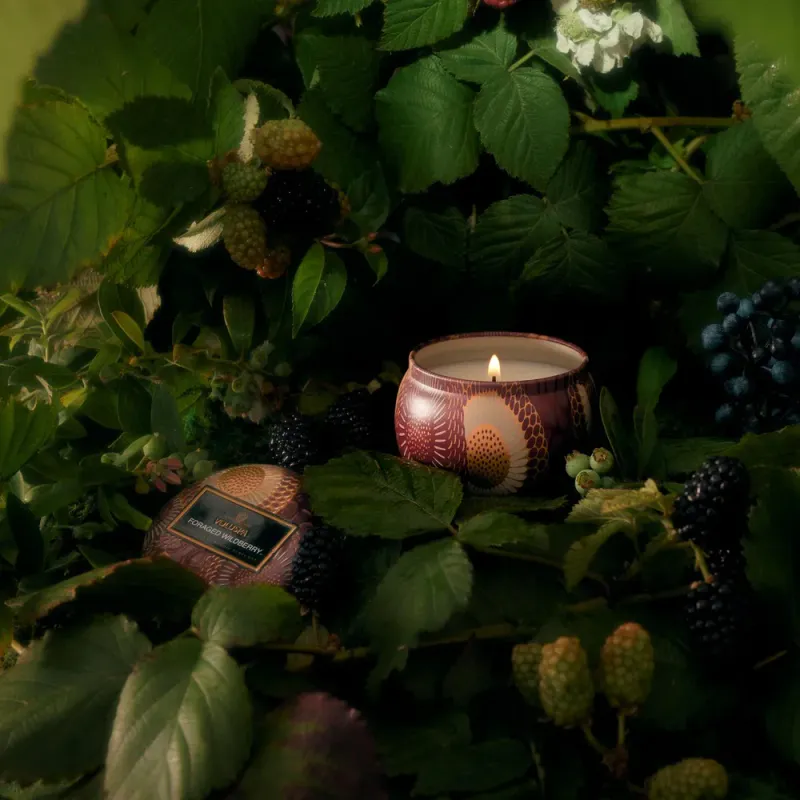 Voluspa Foraged Wildberry Mini Tin Candle 25timer